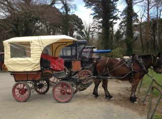 Jaunting Car, Killarney, Ireland