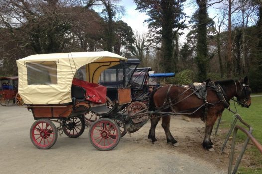 Jaunting Car, Killarney, Ireland